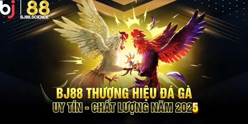 BJ88 là nhà cái đá gà Thomo uy tín hàng đầu Châu Á 2025